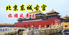 大黑屌爆操骚穴视频中国北京-东城古宫旅游风景区