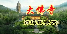 大鸡巴日美女嫩逼呻吟免费播放中国浙江-新昌大佛寺旅游风景区